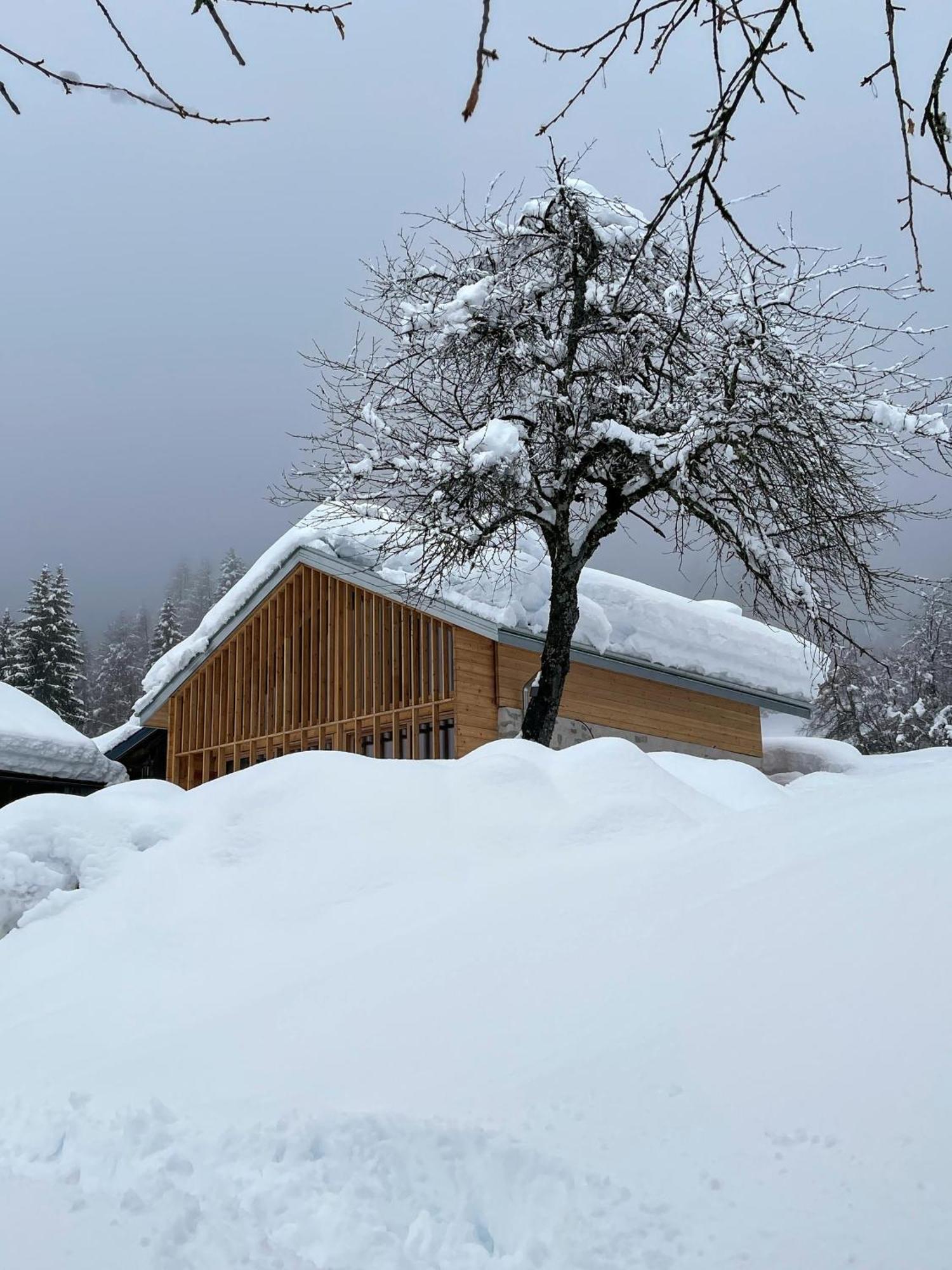Villa Alpina Campiglio Madonna di Campiglio Exterior photo
